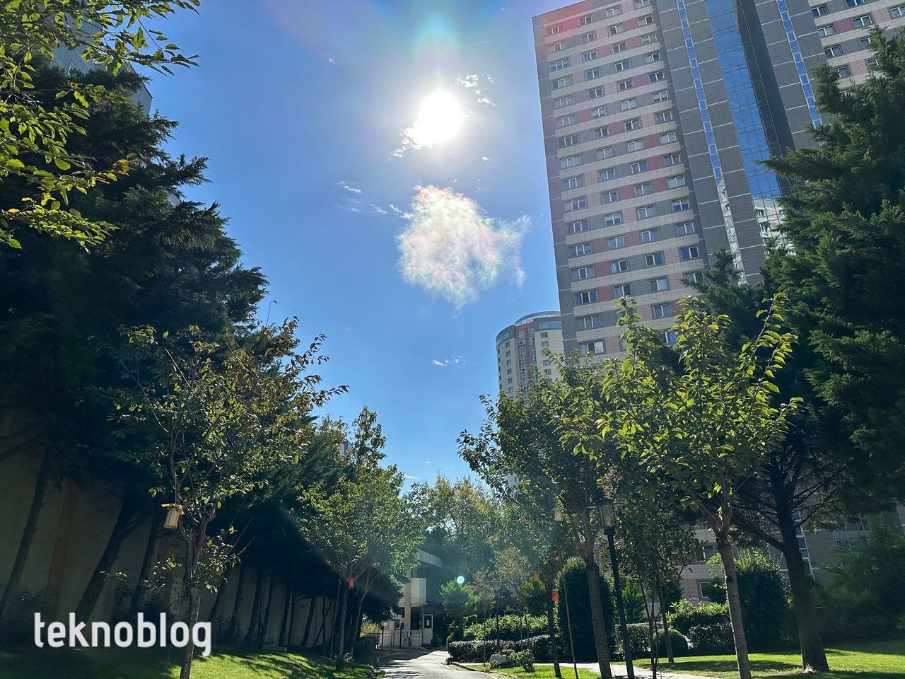 iPhone 14 Pro İncelemesi