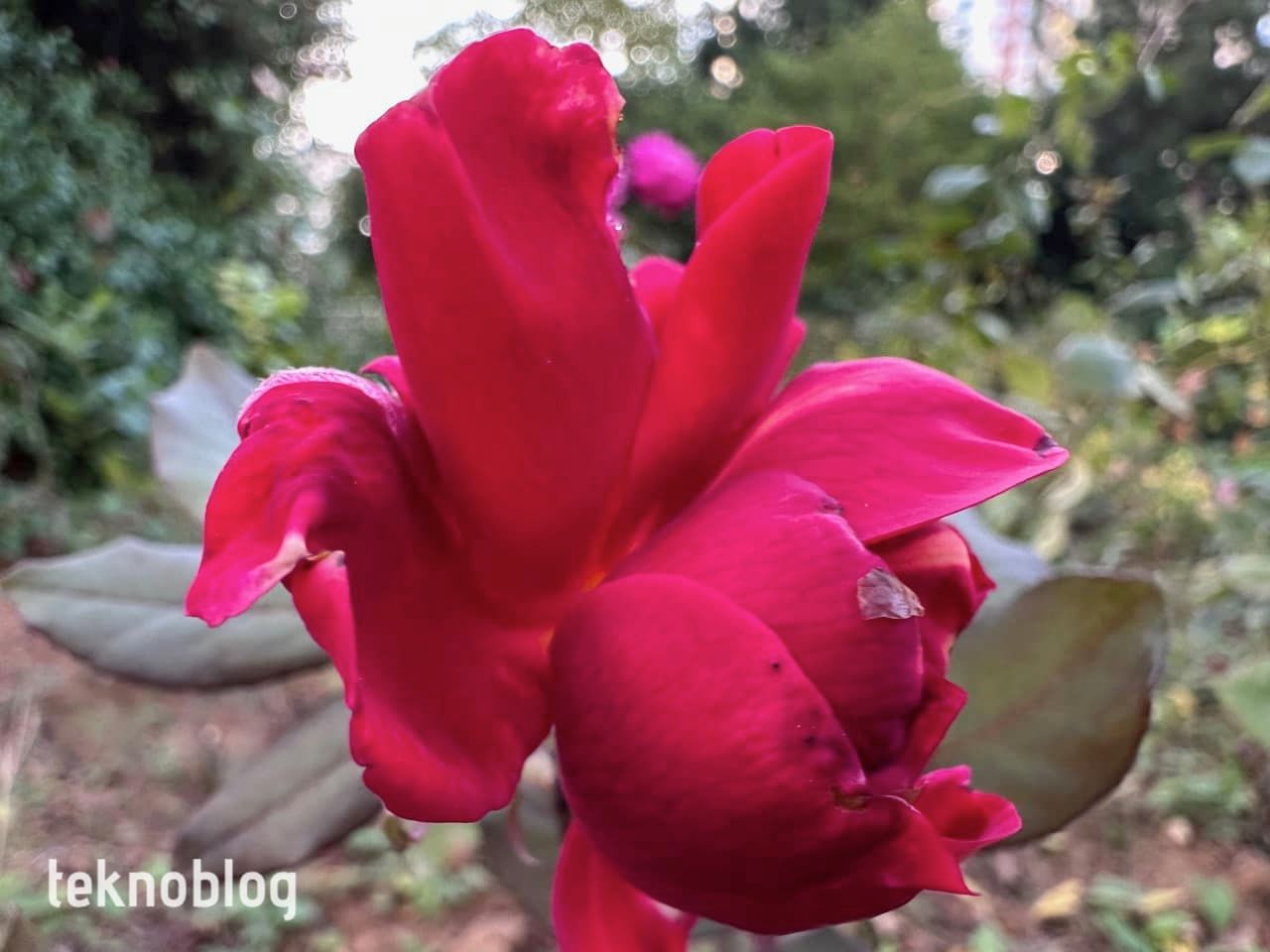 iPhone 14 Pro İncelemesi