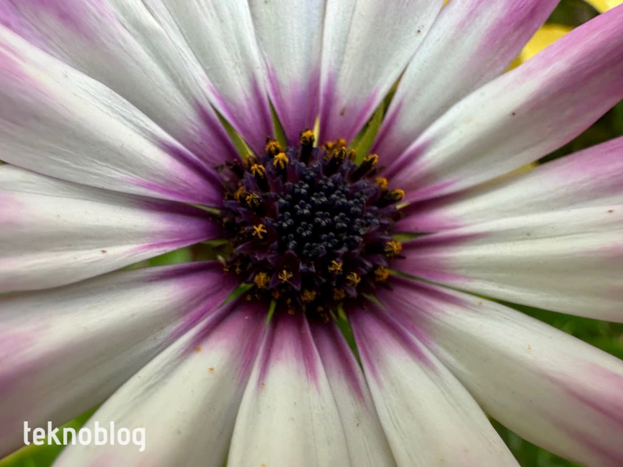 iPhone 14 Pro İncelemesi