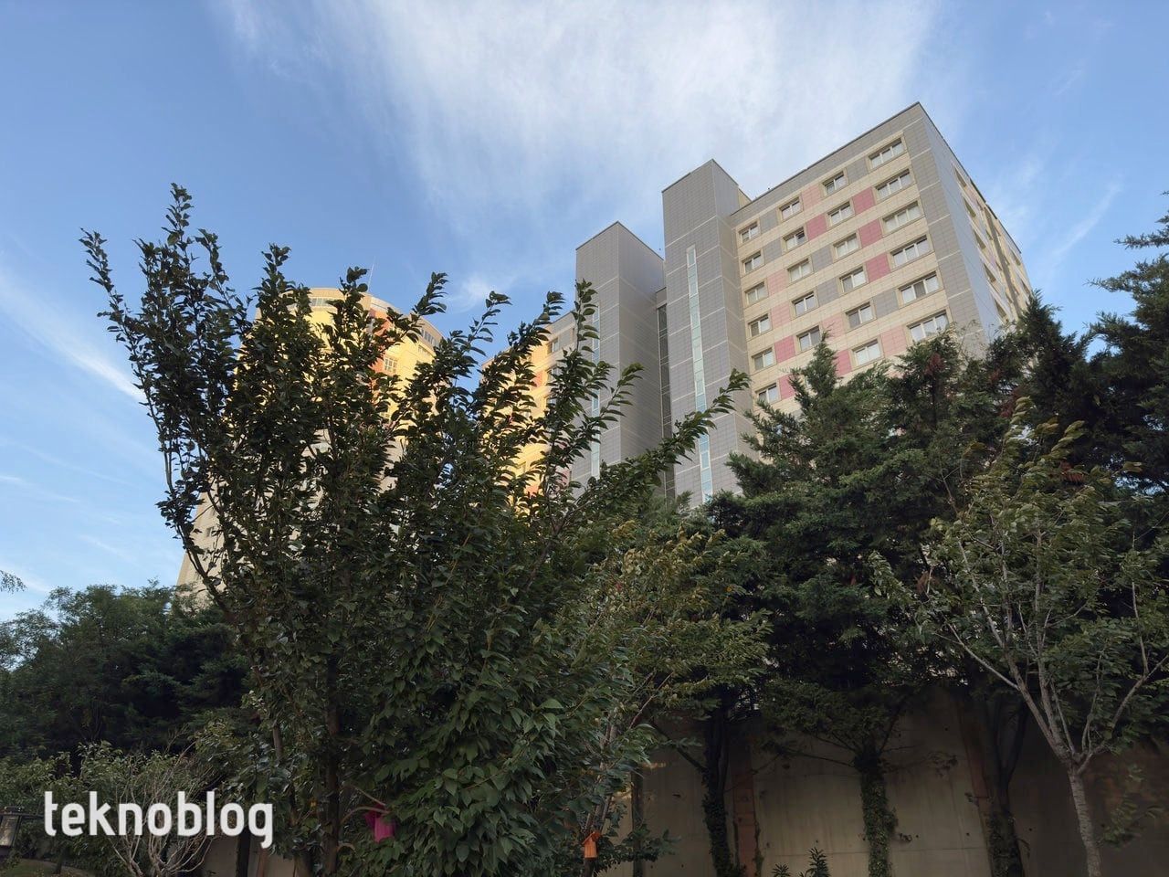 iPhone 14 Pro İncelemesi