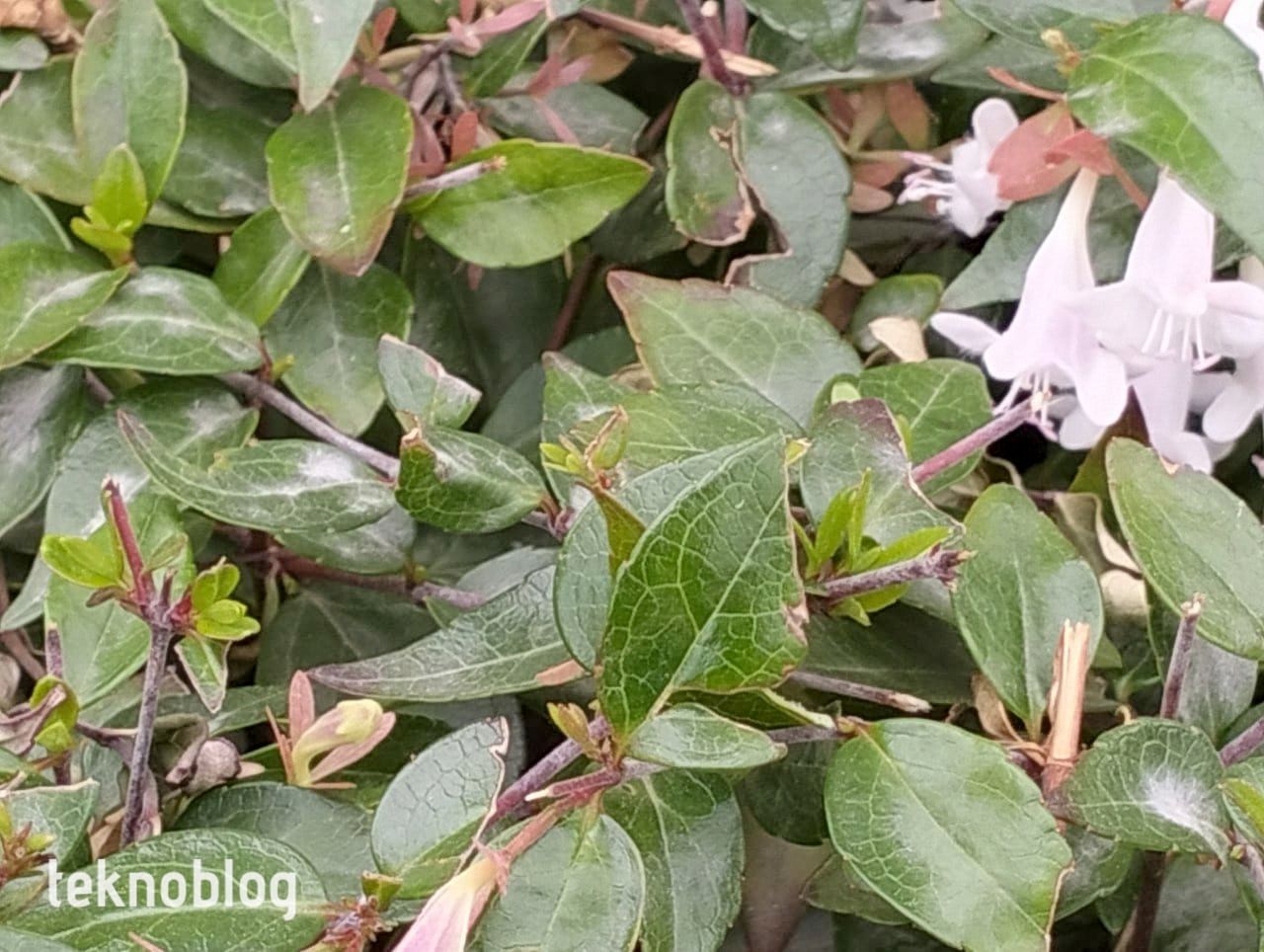 Oppo A96 İncelemesi