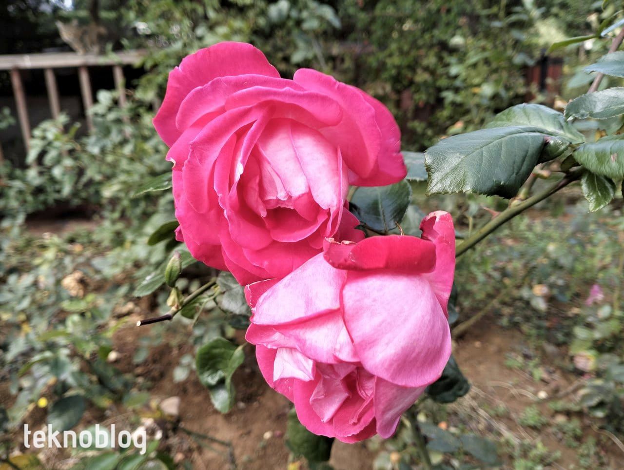 Oppo A96 İncelemesi