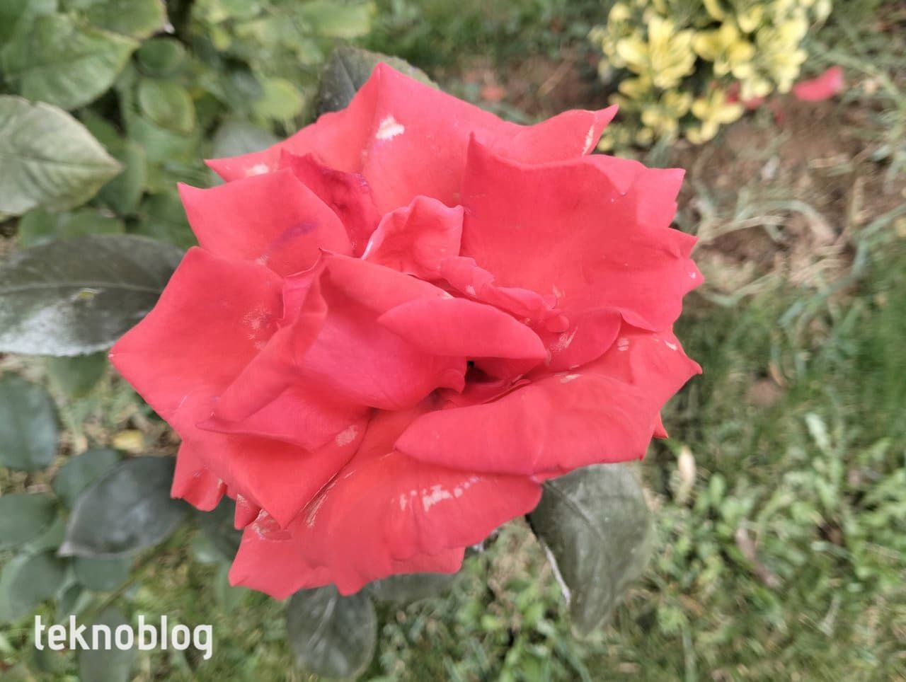 Oppo A96 İncelemesi