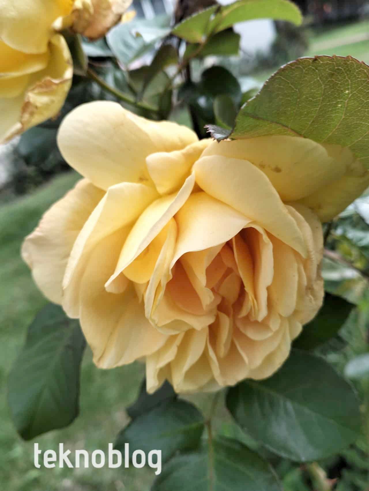 Oppo A96 İncelemesi