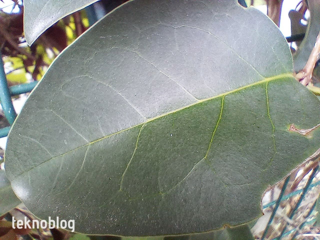 TCL 30 SE İncelemesi