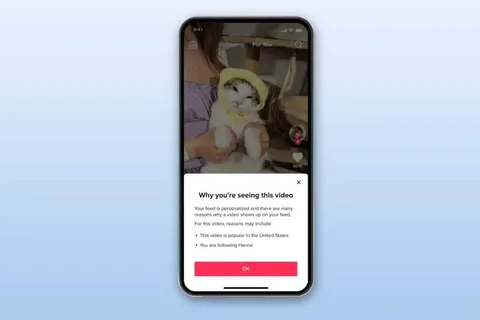 TikTok video önerilerinin nedenlerini açıklıyor