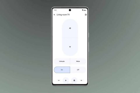 google home