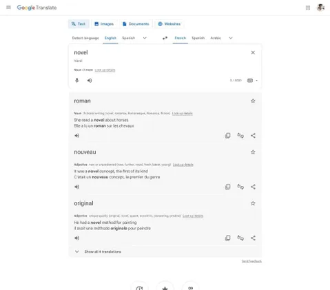 Google Çeviri birden fazla anlamı olan kelimeler için daha iyi öneriler sunacak