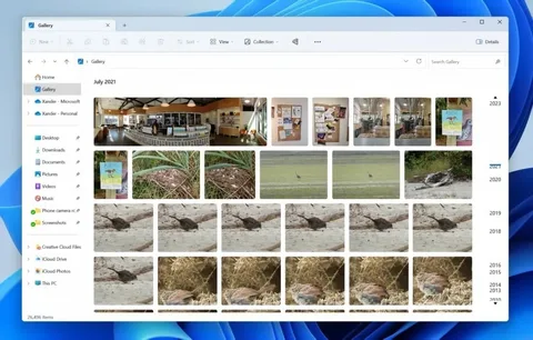 Windows 11’in Dosya Gezgini’nde fotoğraflara bakmak kolaylaşıyor