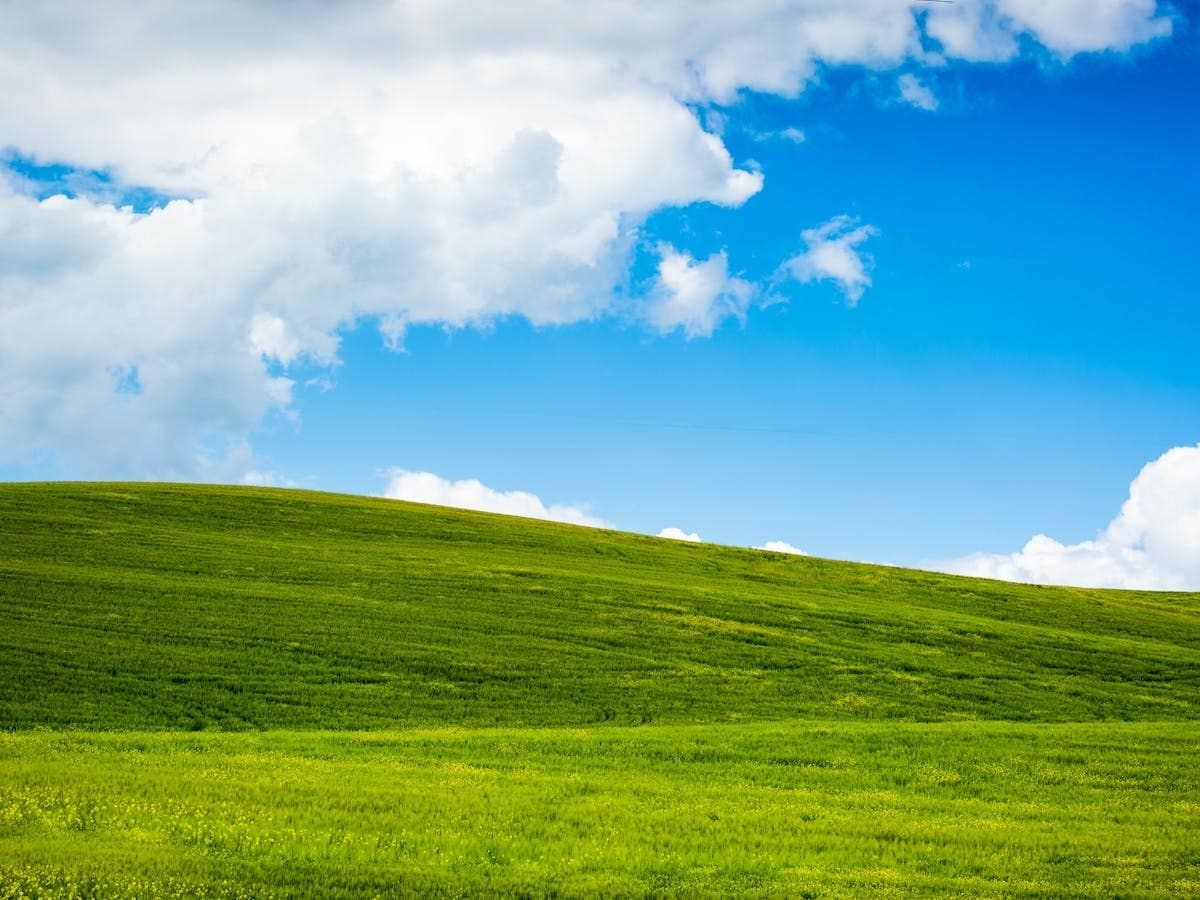 windows xp