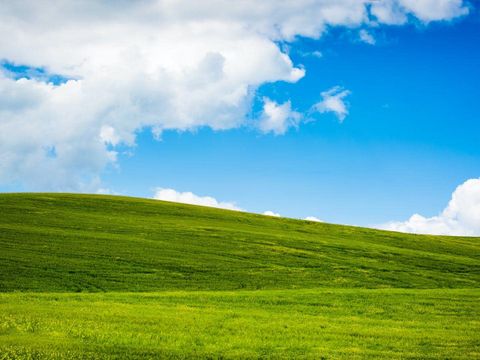 windows xp