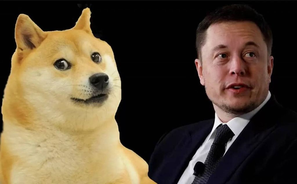 elon musk dogecoin