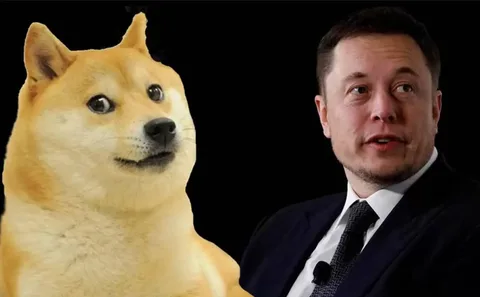 Elon Musk Dogecoin’de manipülasyon yapmakla suçlanıyor
