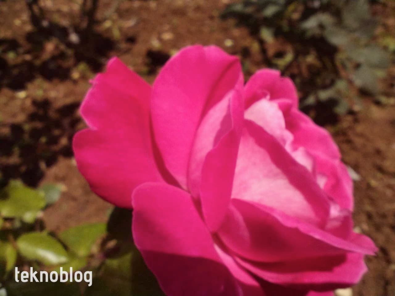 Vivo Y36 İncelemesi