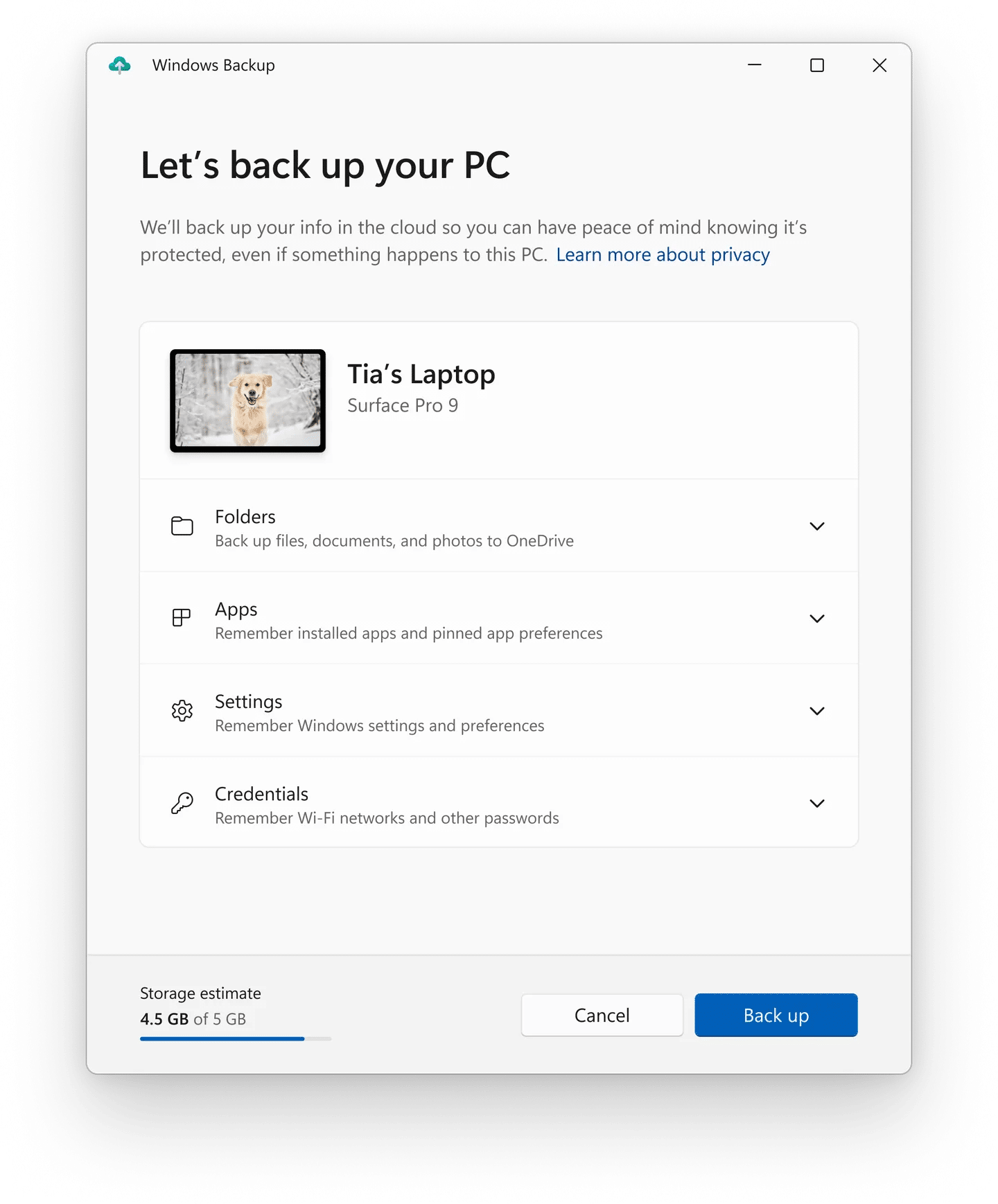 windows 11 yedekleme