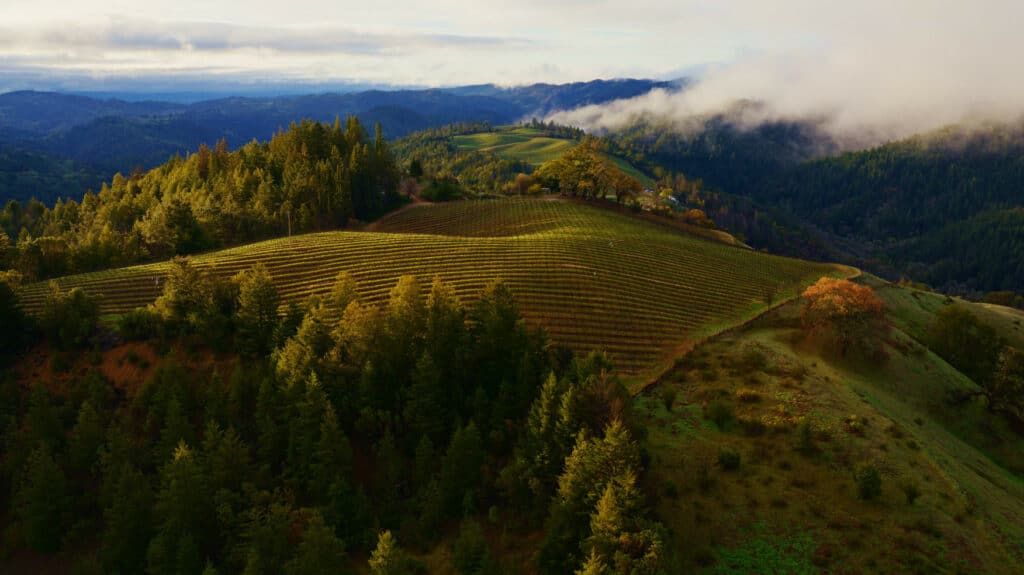 macos sonoma