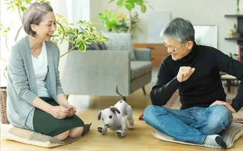 Sony robot köpeği Aibo için koruyucu aile programı başlattı