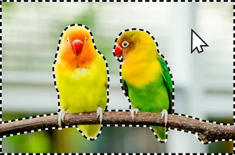 Adobe Photoshop Elements 2024, yenilenmiş yüzü ve AI gücündeki yeniliklerle geliyor