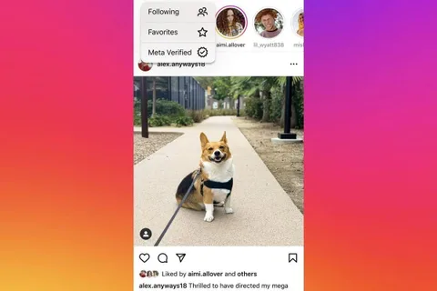 Instagram, yalnızca Meta Verified kullanıcılarından bir akış fikrini değerlendiriyor