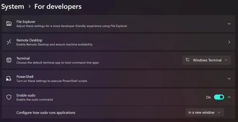 Microsoft Windows 11’e geliştiriciler için yerleşik “sudo” komutu ekliyor