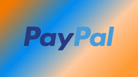 PayPal, ABD’de banka lisansı için başvuru yaptı