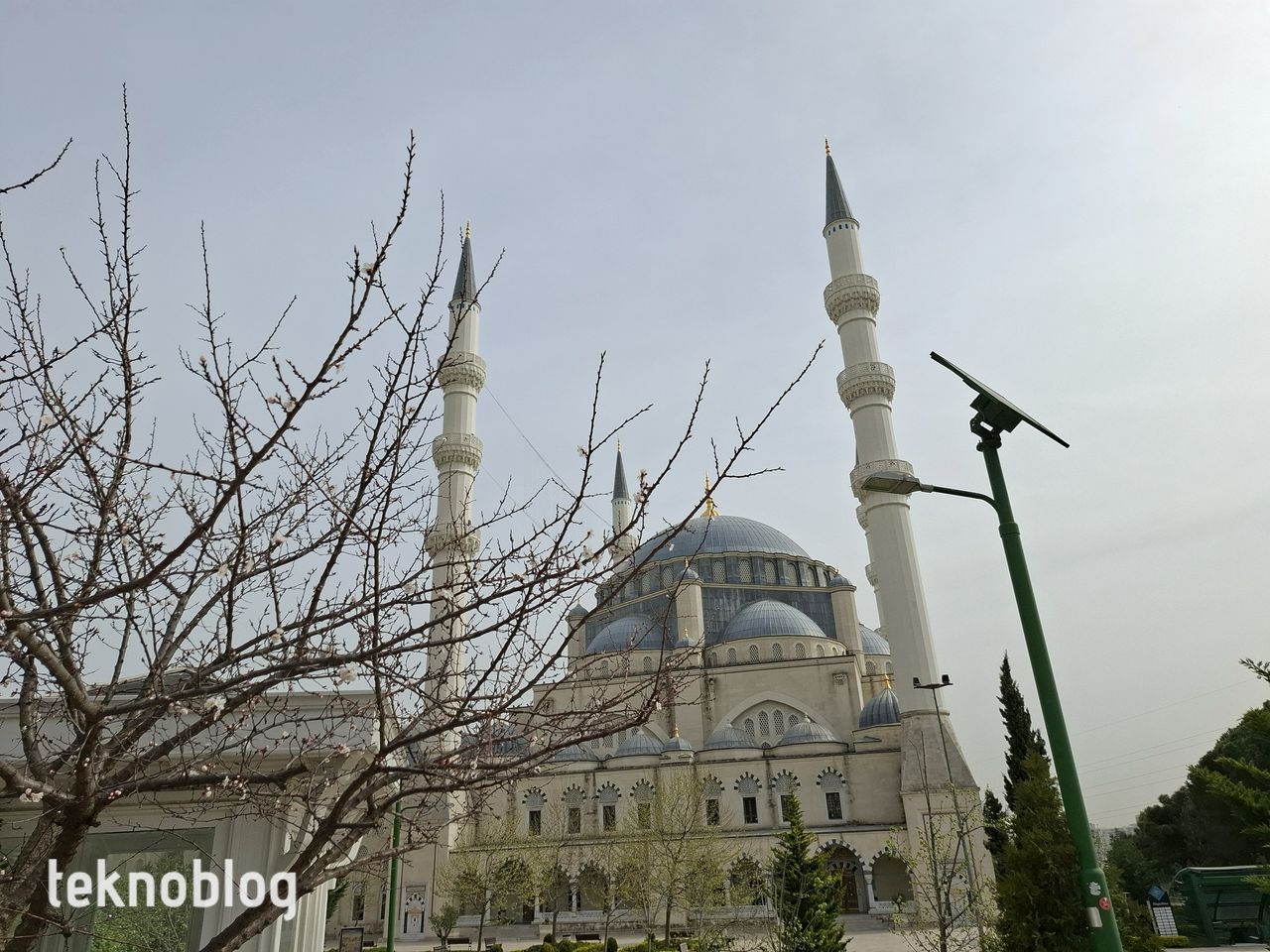 Samsung Galaxy A55 İncelemesi