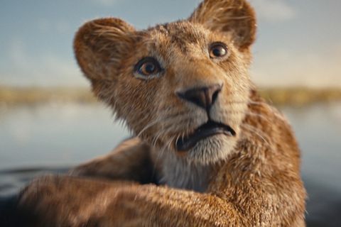 mufasa: aslan kral