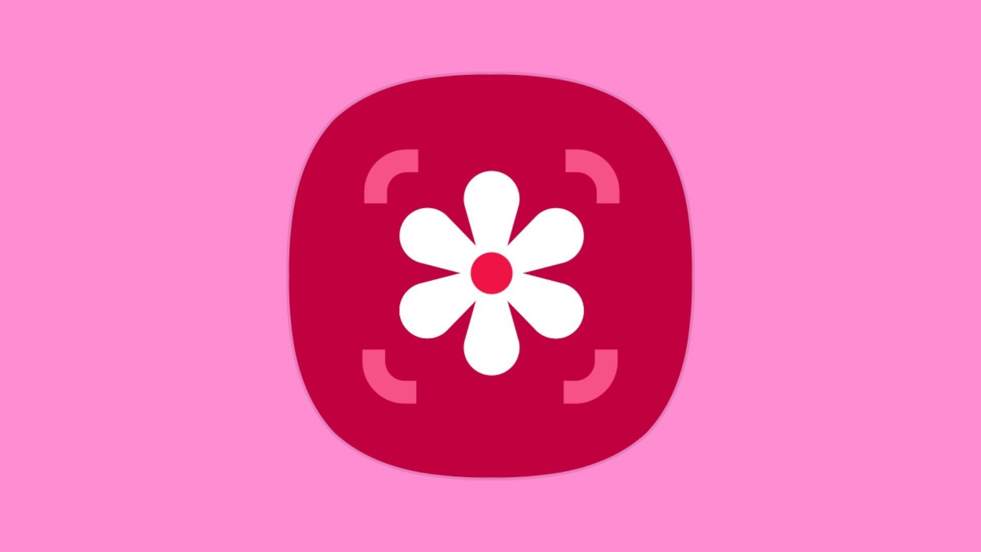 samsung fotoğraf düzenleyici