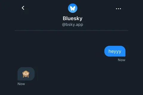 Bluesky direkt mesaj özelliğini kullanıma sundu