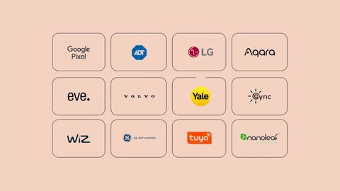 google home