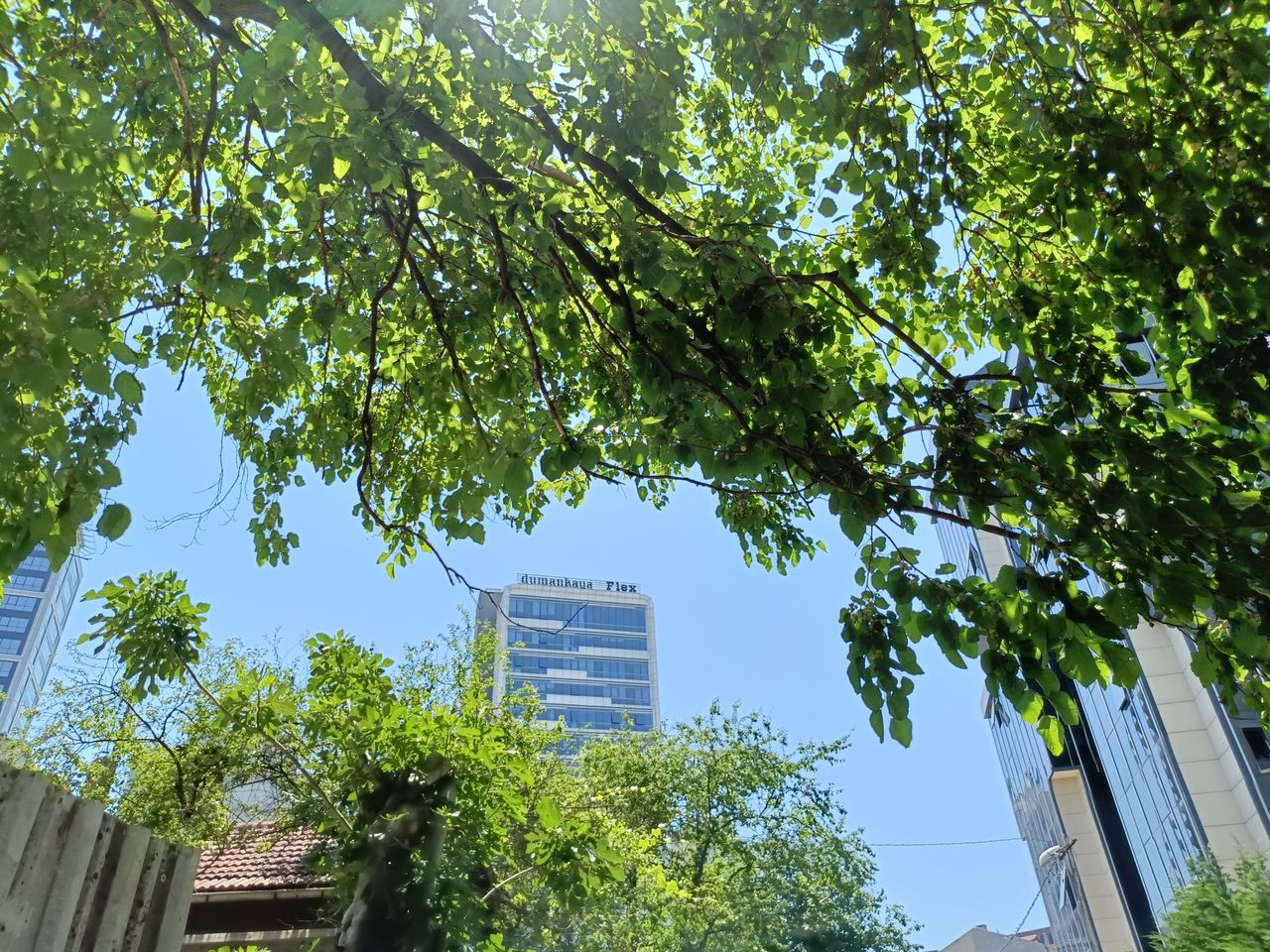 Oppo Reno 11F 5G İncelemesi