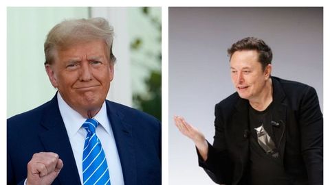 elon musk donald trump