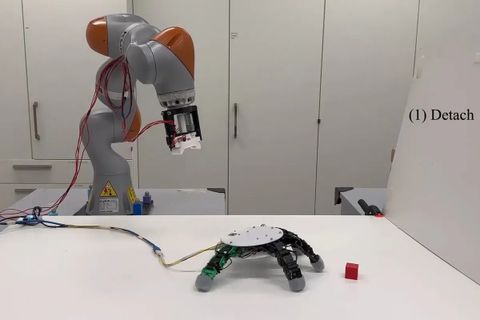 robotik el