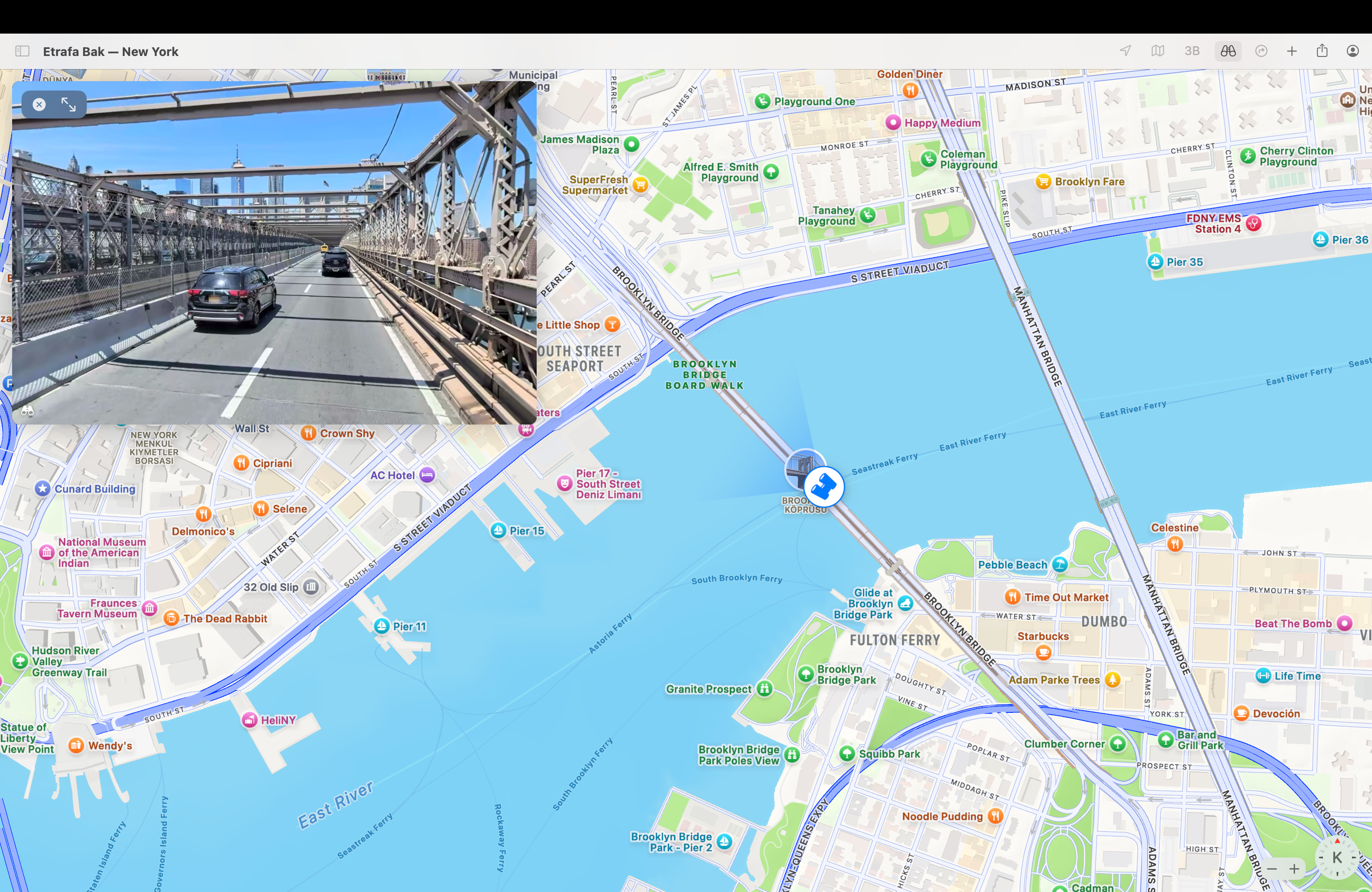 apple harita etrafa bak