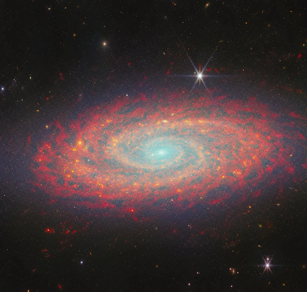 Hubble ve Webb teleskopları, NGC 2090 galaksisini farklı ışıkta görüntüledi