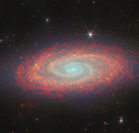 Hubble ve Webb teleskopları, NGC 2090 galaksisini farklı ışıkta görüntüledi