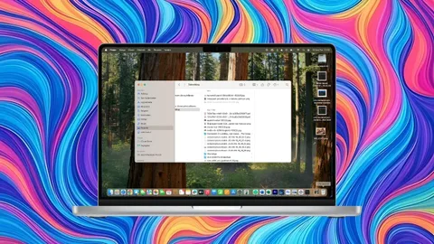 macOS’te gizlilik: Dosya ve klasörleri gizleme ve şifreleme yöntemleri