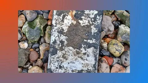 Beş yıl Thames Nehri’nin dibinde kalan iPad, suikast girişimini aydınlattı