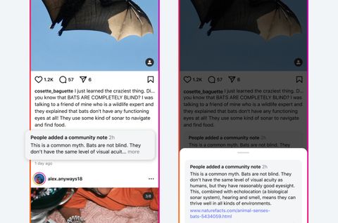 meta topluluk notları