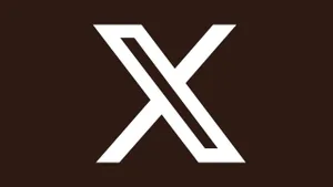 x erişim sorunu fransa