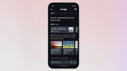 google ai arama