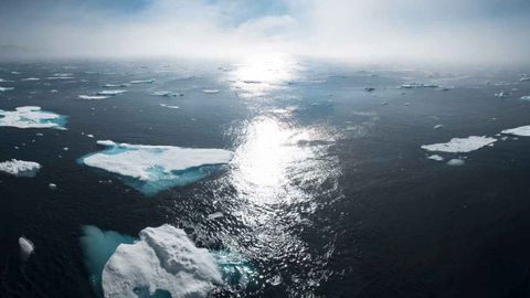 ABD’li gençler Trump’a karşı iklim mücadelesini mahkemeye taşıdı