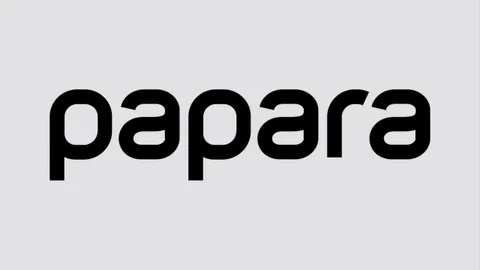 Papara için yürütme durduruldu, sistemlerin yeniden açılması bekleniyor
