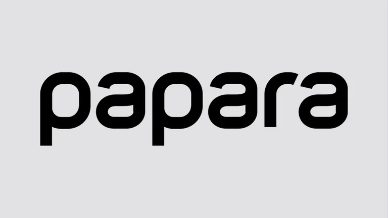 Papara için yürütme durduruldu, sistemlerin yeniden açılması bekleniyor