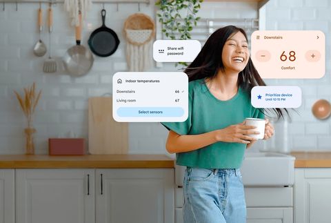 google home