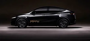 tesla robotaksi robotaxi
