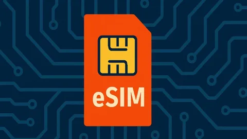 BTK, yetkisiz eSIM servislerine erişimi engelledi
