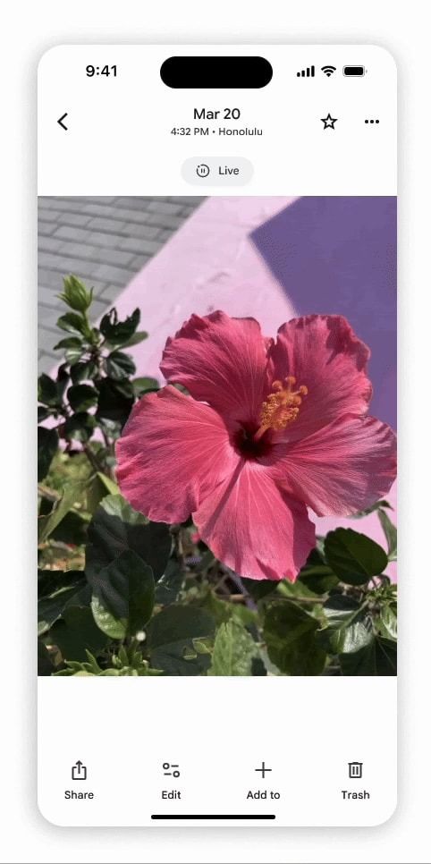 Google Fotoğraflar’ın fotoğraf görünümü baştan sona yenilendi