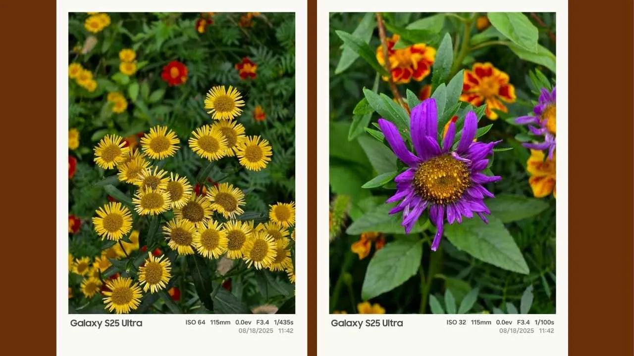 Samsung One UI 8, fotoğraflara cihaz bilgileri ve çekim ayarları ekleyen filigran özelliği getiriyor
