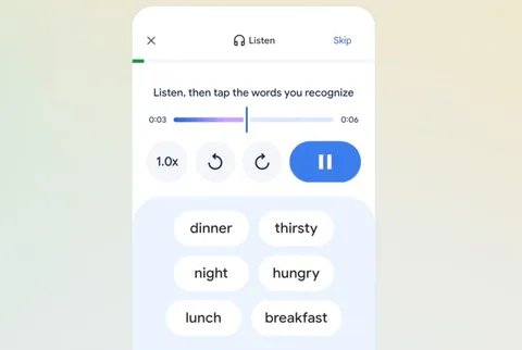 Google Çeviri yeni özelliğiyle Duolingo’ya rakip oluyor